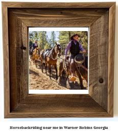 horseback riding near me in Warner Robins, Georgia